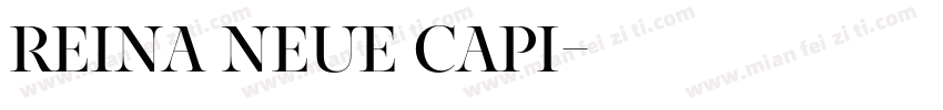 Reina Neue Capi字体转换